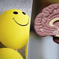 Rimos de quem acreditava que pensamentos positivos nos fariam felizes, mas eles estavam certos 