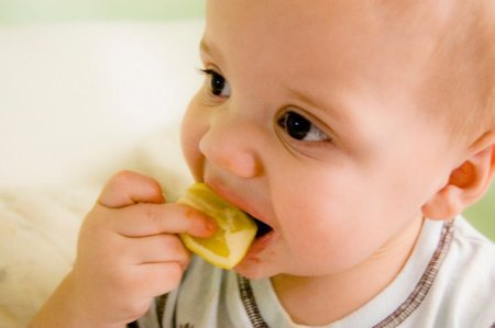 Los primeros alimentos que ofrecemos al bebé pueden condicionar su gusto por la sal