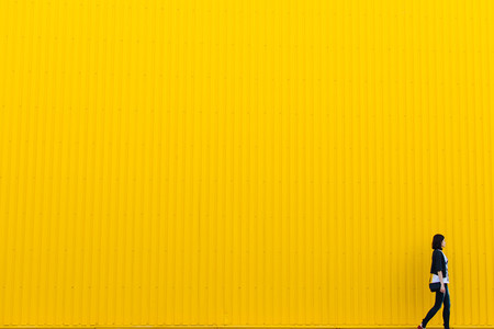 Sacar Partido Minimalismo 06