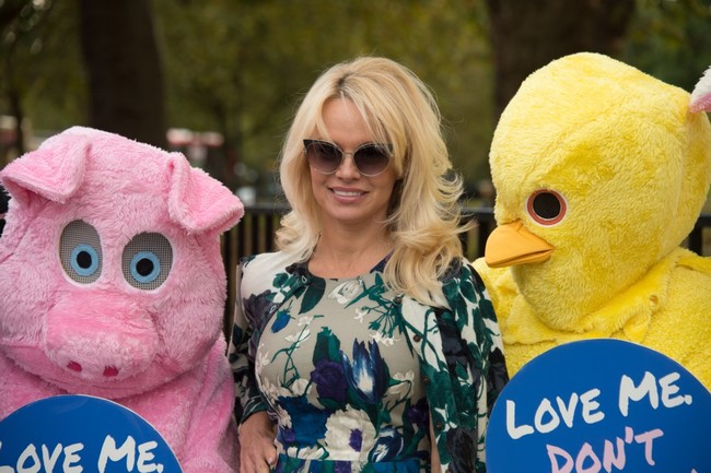 Pamela Anderson Peta