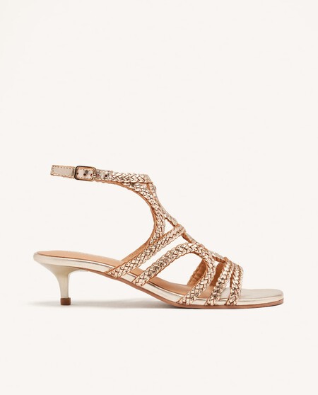 Www 8445413500884 00