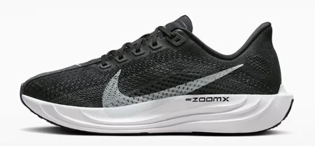 Zapatillas Nike Pegasus Plus