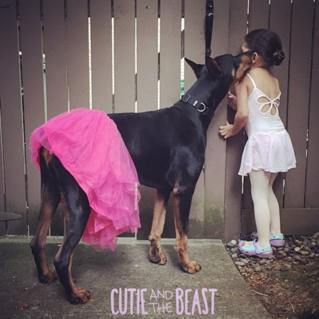 Cutie And The Beast Dog Girl Seana Doberman 42