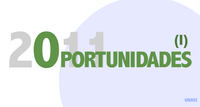 Oportunidades de negocio para 2011 (I)