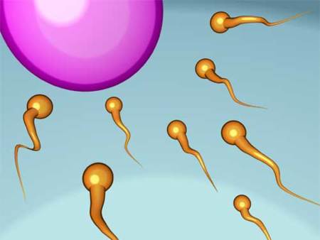 Conseguir un esperma de calidad con secillos trucos