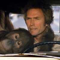 Clint Eastwood estuvo a punto de interpretar al personaje español más famoso de la historia. Iba a ser la reunión de uno de sus mejores westerns 