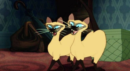 La Dama Y El Vagabundo