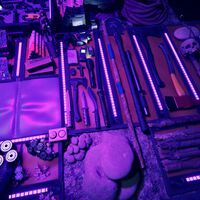 Sons Of The Forest | Trucos y secretos para hacer tu supervivencia en la isla más fácil