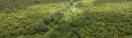 Strawberry Hill