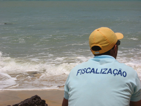 Paraísos fiscales ahogados
