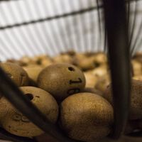 ¿Cómo invertir el dinero de la Lotería de Navidad? 