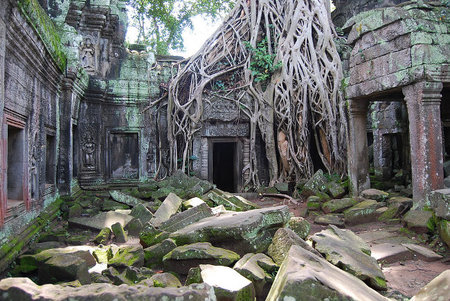 Ta Prohm