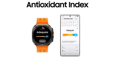 Indice Antioxidantes