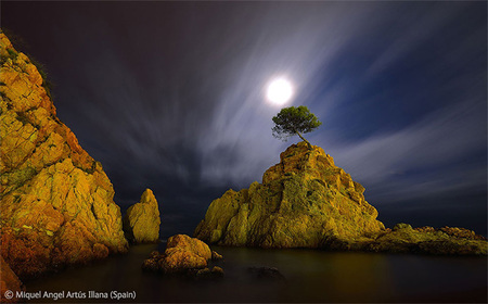 Wildlife Photographer of the Year 2012: Ya se conocen los ganadores, entre ellos varios fotógrafos españoles