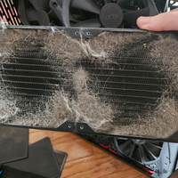 Se escandaliza porque su PC Gaming se calienta mucho y el problema era un escarabajo muerto 