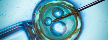 Los donantes de esperma y óvulos podrían dejar de ser anónimos: así lo ha solicitado el Comité de Bioética