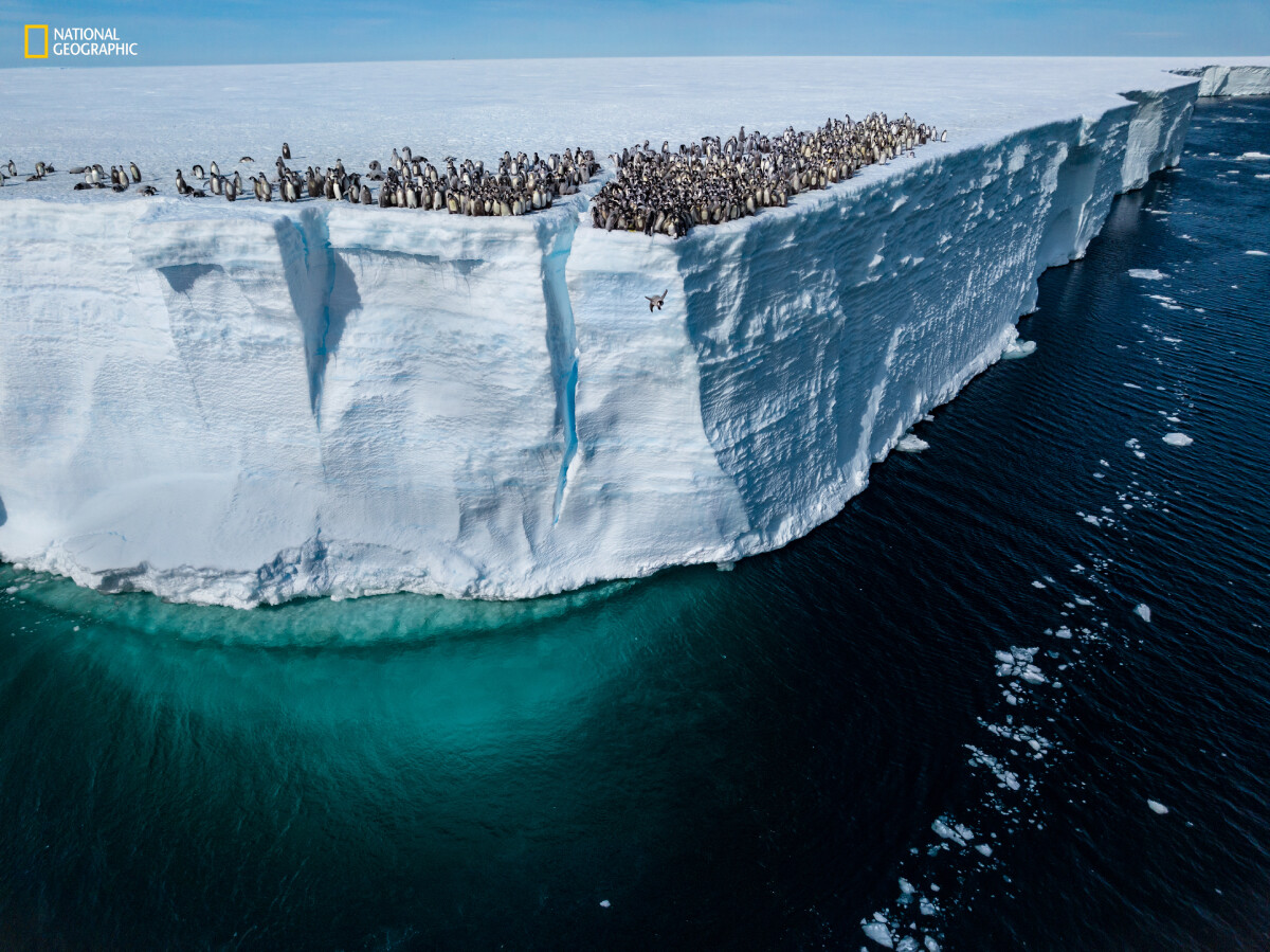 National Geographic Ha Hablado Estas Son Las Mejores Fotos Del 2024