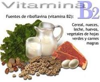 Las funciones de la vitamina B2