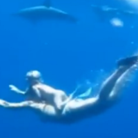 El impresionante vídeo de una madre y su hija de dos años nadando con delfines