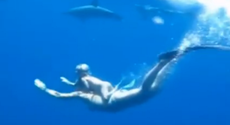 El impresionante vídeo de una madre y su hija de dos años nadando con delfines