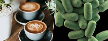 Um velho aliado: tomar café pela manhã tem consequências muito positivas para a microbiota do corpo 