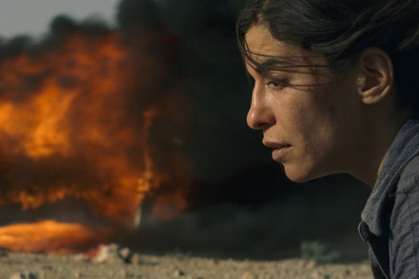 Incendies 2010