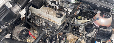 Huela a rayos y no arranca. Una rata se instaló en mi coche y ahora no sé si me lo cubre el seguro