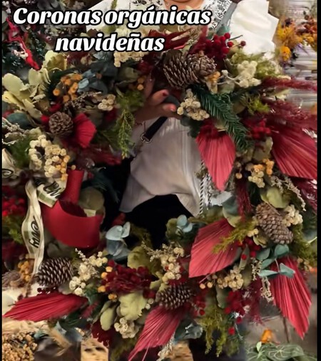 Este es el local en CDMX donde vas encontrar hermosas coronas para decorar en Navidad desde 250 pesos