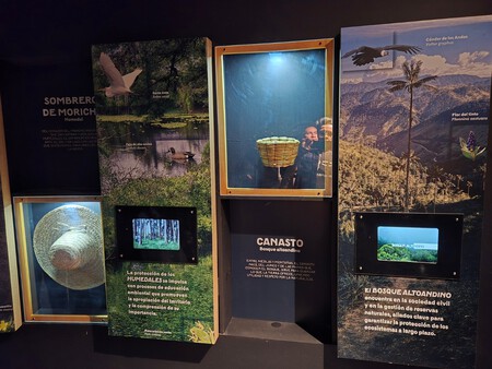 Maloka Latidos De Colombia 7