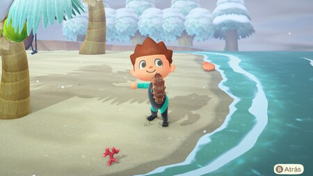 Animal Crossing: New Horizons: lista con todas las criaturas de la pesca submarina de febrero