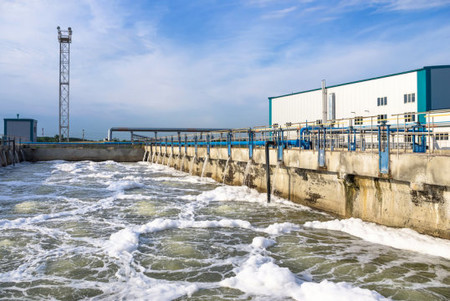 Estas bacterias convierten las aguas residuales en energía limpia