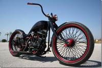 Harley Davidson Panafina, campeona mundial