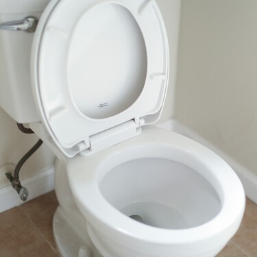 Váter limpio sin tocarlo: cómo hacer las bombas de limpieza caseras con las que no da pereza limpiar el cuarto de baño 