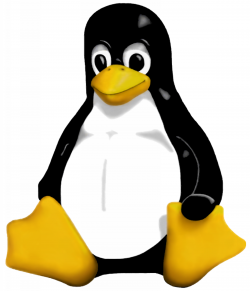 Software libre como realidad en la pyme
