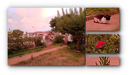 Foto automatica Realme C51