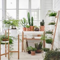 Consigue una terraza más bonita sin gastar mucho dinero con estos sorprendentes soportes de macetas de de IKEA