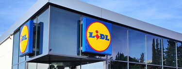 Lidl agotará el ventilador barato pero potente y silencioso, con el que pasar las olas de calor por menos de 20 euros