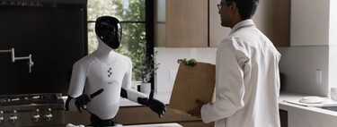 Soon we will all have humanoid robots at home, or at least that is what these companies want