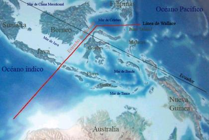 La línea de Wallace
