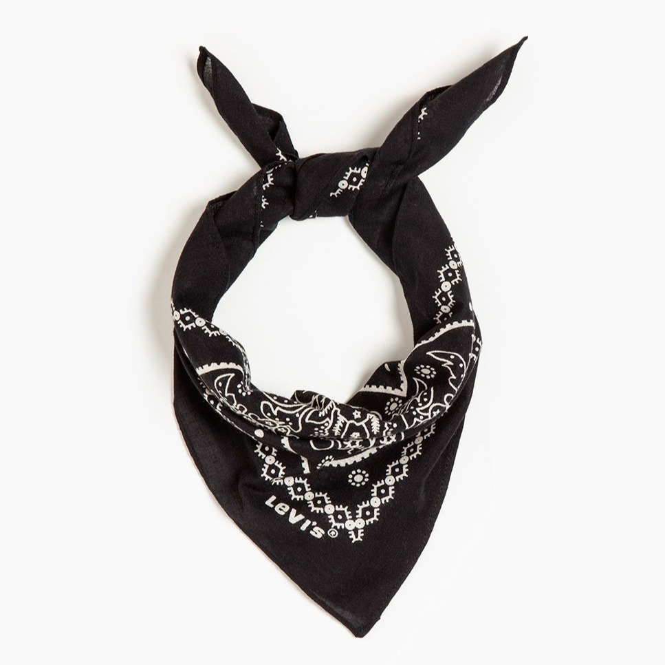 Levi's
Bandana paisley