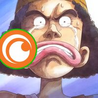 Tienes 3 semanas para seguir disfrutando de la versión gratis de Crunchyroll: desaparecerá el 1 de enero