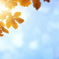 Septiembre, el mes de los que no vuelven al trabajo porque nunca lo han dejado