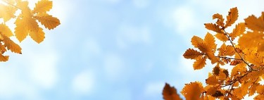 Septiembre, el mes de los que no vuelven al trabajo porque nunca lo han dejado