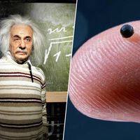 70 años después de su muerte, Einstein sigue ayudándonos: en esta ocasión con el "cerebro" de los microrrobots
