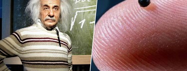 70 años después de su muerte, Einstein sigue ayudándonos: en esta ocasión con el "cerebro" de los microrrobots