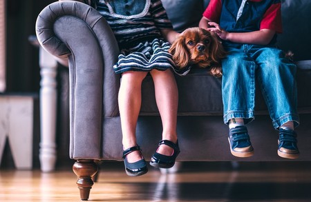 Convivir con mascotas durante la infancia reduce la probabilidad de desarrollar alergias