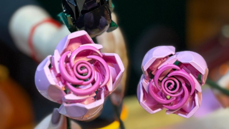 Planes gratis para el primer puente de 2026: qué hacer el 2 de febrero si no quieres quedarte en casa