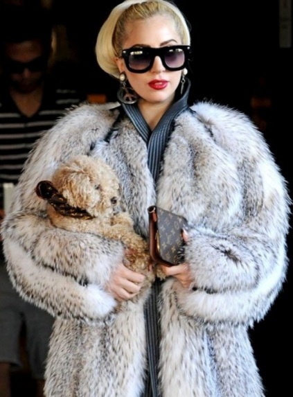 Los de PETA echan toda la peta a Lady Gaga