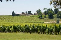 Bodegas y arquitectura: los mejores destinos de vino en el mundo