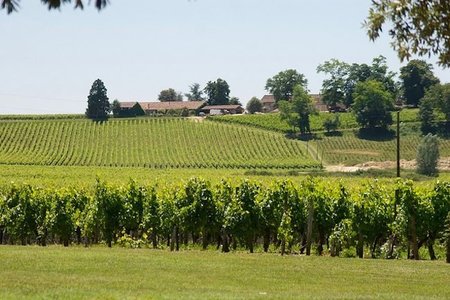 Bodegas y arquitectura: los mejores destinos de vino en el mundo